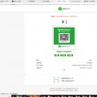 微信固码免签监控系统 v3.1 附带APP源码+详细搭建视频教程